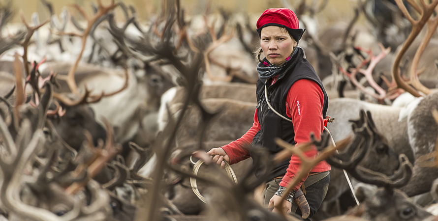 Person står inne i en renflock